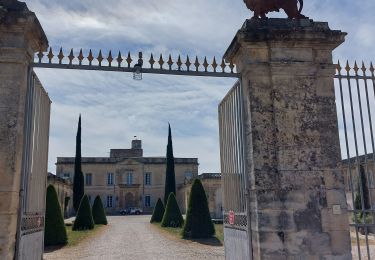 Trail Walking Montfrin - Montfrin Theziers - Photo
