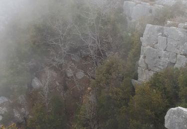 Tocht Stappen Gréolières - Du Thourounet, Bau de St Jean, Bois de Garavagne, Coursegoule - Photo