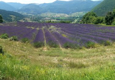 Excursión Moto Digne-les-Bains - GTA 2018 - ETAPE 8 - Photo