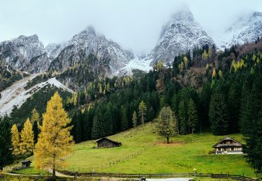 Tocht Te voet Gosau - Rundwanderweg Löckersee Gosau - Photo