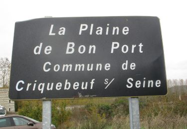 Tour Wandern Criquebeuf-sur-Seine - 20201027-Bonport - Photo