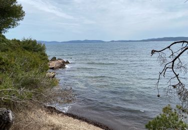 Trail Walking Hyères - Viens - Photo