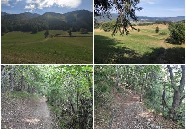Trail Walking Villard-de-Lans - Villard-de-Lans Marche à pied - Photo