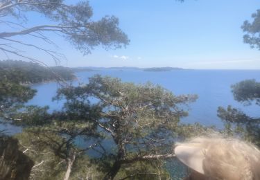Trail Walking Hyères - Gien la Madrague - Photo