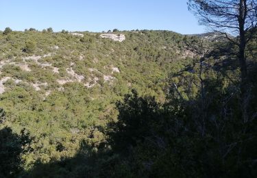 Randonnée Marche Gordes - abbaye de senanque par gordes - Photo