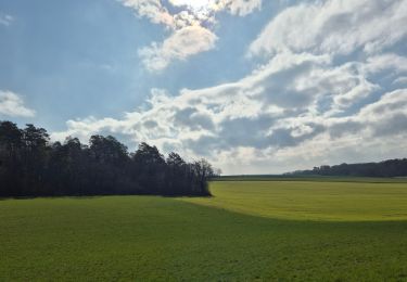 Tour Wandern Étuz - étuz  - Photo