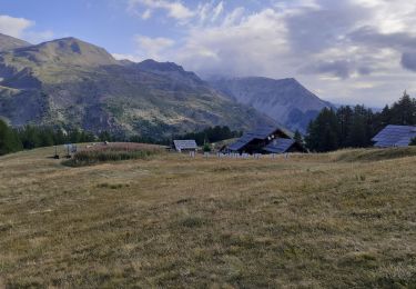 Tour Wandern Névache - Col de Buffère - Photo