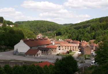 Excursión A pie Enchenberg - Terre de Cristal - Photo