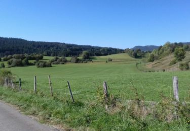 Tour Wandern Remoray-Boujeons - Remoray-Boujeons - Le Belvédère des deux Lacs - Photo