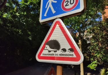 Percorso Marcia Bagneux - La vallée aux loups depuis Bagneux - Photo