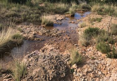 Trail Walking Vitrolles - Vers la grosse boule  - Photo