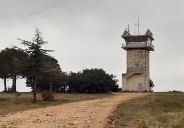 Trail Walking Aix-en-Provence - Plateau du grand Arbois Tour de Guet - Photo