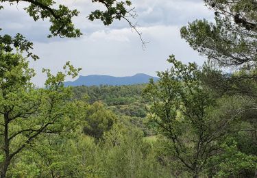 Trail Walking Peynier - les vallats du Verdalaï et de Tourenne - Photo