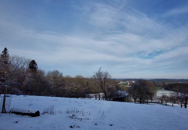 Tocht Stappen Couvin - Promenade de la Butte - Couvin - Photo