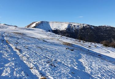 Tour Schneeschuhwandern La Motte-d'Aveillans - Col du Sénépy - Photo