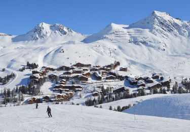 Randonnée A pied Aime-la-Plagne - Route Balcon - Photo