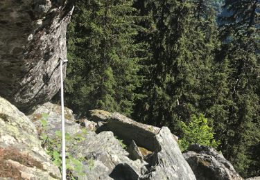 Trail Walking Tignes - Nazonde par la forêt  - Photo