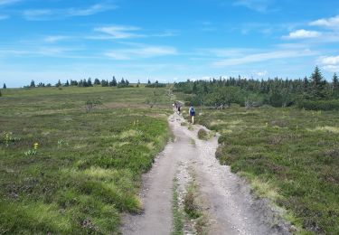 Trail Walking Orbey - Tour des 3 Lacs : Lacs Blanc, Noir et des Truites  - Photo