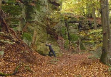 Tocht Te voet Berdorf - Wikiloc Berdorf Mullerthal Trail - Photo