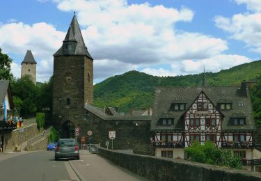 Tocht Te voet Bacharach - RheinBurgenWeg Rundtour - Stahlberg-Schleife - Photo