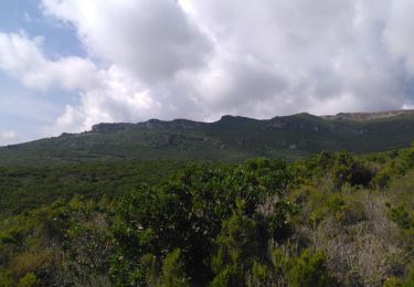 Tour Wandern Sisco - Vallée de Sisco - Photo