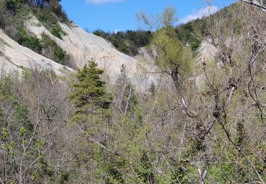 Excursión Senderismo Rosières - Ravin de Corboeuf et la galoche - Photo