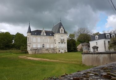 Excursión Senderismo La Chapelle-Montlinard - du canal au Vieux Chêne - Photo