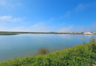 Trail Bicycle tourism - Tavira Faro - Photo