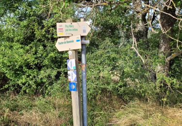 Percorso Marcia Murat - 2025-07-23 Murat - Le Lioran  - Photo