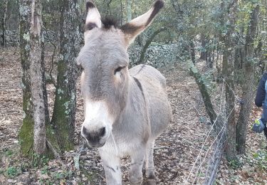 Randonnée Marche Gonfaron - GONFARON - LACS TEMPORAIRES - Photo