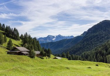 Randonnée A pied Scuol - Griosch - Fimberpass - Photo