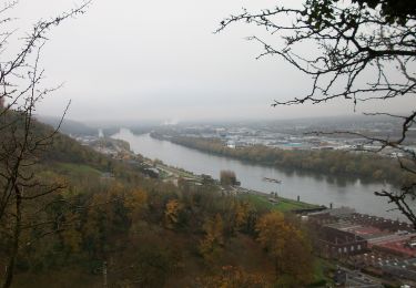 Tour Wandern Amfreville-la-Mi-Voie - 20221129-Amfreville la mi voie - Photo