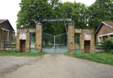 Tocht Te voet Thionville - Circuit de Chalet - Bois de la Côte - Photo