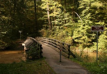 Percorso A piedi Hanau - Hanau - Rundwanderweg Eichhörnchen - Photo