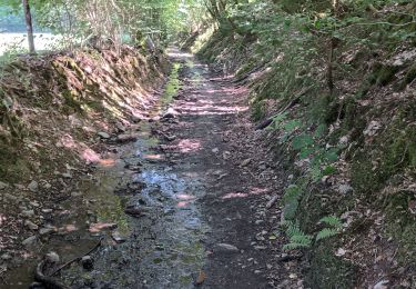 Randonnée V.T.T. Verviers - Belle Trace VTT 53Km D+1100 