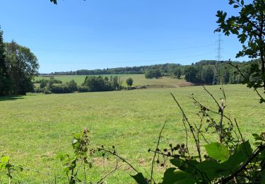 Tour Wandern Ferrières - Ferrières My boucle  - Photo