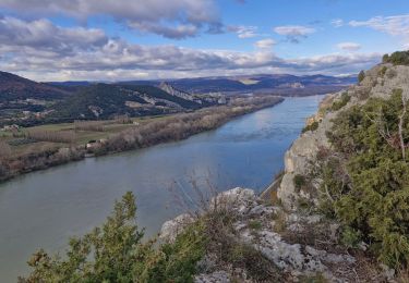 Trail Walking Donzère - Donzère et le défilé de Donzère 8km. - Photo