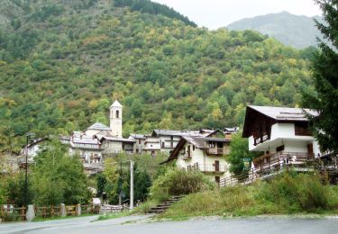 Tocht Te voet Vinadio - (SI E13) Sant'Anna di Vinadio - Vinadio Frazione Strepeis - Photo