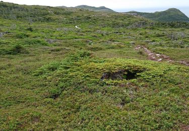 Tour Wandern Saint-Pierre - telegr - Photo