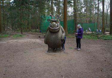 Randonnée A pied West Suffolk - Fir Trail - Photo