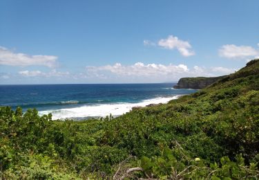 Tocht Stappen Le Moule - Porte d'Enfer - Anse Gros Morne - Photo