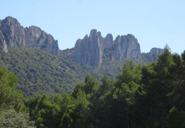 Randonnée V.T.T. Bédoin - Tour des dentelles depuis Bédoin  VTT AE - Photo