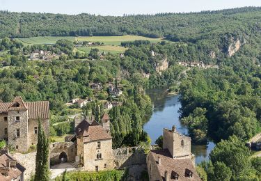 Excursión Senderismo Saint-Cirq-Lapopie - Du camping de la Truffière à Bouziès - Photo