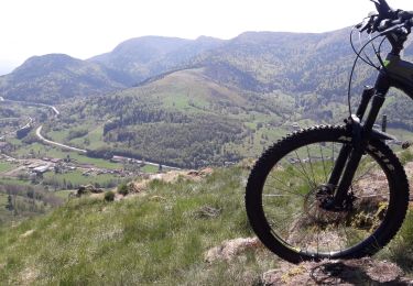 Excursión Bici de montaña Ramonchamp - les belvédères de la Haute vallée de la Moselle - Photo