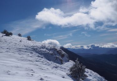 Tocht Sneeuwschoenen Bouvante - Les gagères en raquettes - Photo