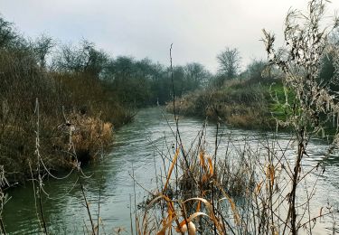 Trail Walking Viroinval - Le Tienne aux Pauquis et la Roche à Lomme - Photo