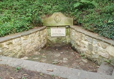 Tour Wandern Saarbrücken - circuit des fontaines, ensheim - Photo