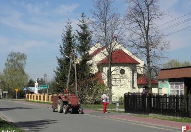 Tocht Te voet Chodków - Lasy Puszczy Stromieckiej - wojna - Photo