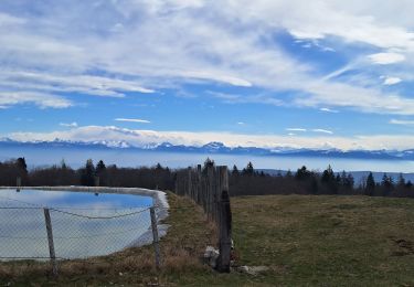 Trail Walking Corbonod - AIN: SUR LYAND - CRETES - CHARBEMENES - VALLON D'ARVIERES - GRANGE D'EN BAS - Photo
