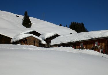 Randonnée A pied Safiental - Safien Talkirch-Camanaboda - Photo